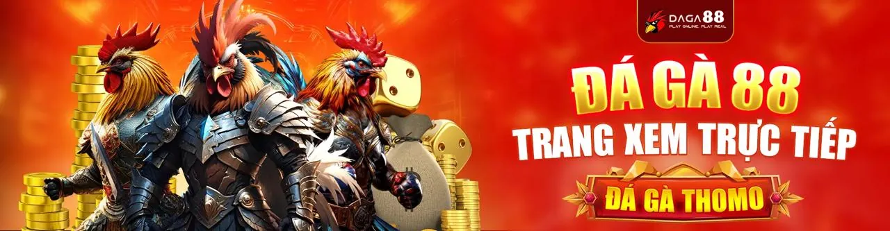 Đá gà trực tuyến kịch tính tại NK888 Link